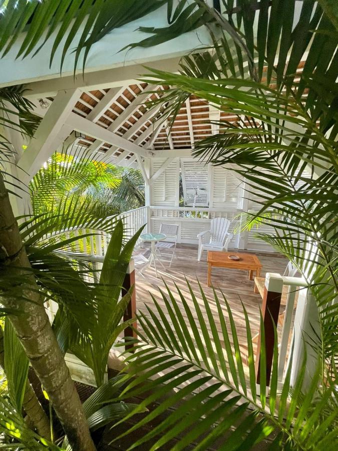 Chambre D'Hote Et Loft Dans Maison De Charme Piscine A Debordement La Villa Gialla Шельшер Экстерьер фото